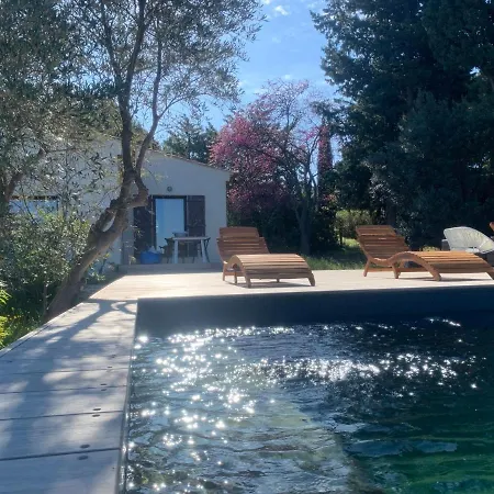 Charming Vineyard Lodge: Poolside Retreat Near Bandol Beaches Holiday home *