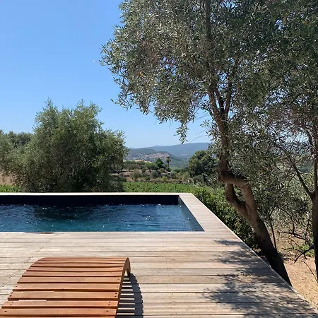 Charming Vineyard Lodge: Poolside Retreat Near Bandol Beaches Le Beausset